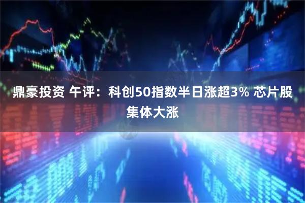 鼎豪投资 午评：科创50指数半日涨超3% 芯片股集体大涨