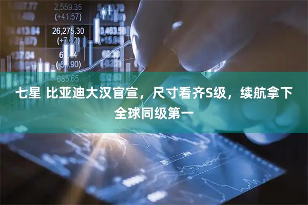 七星 比亚迪大汉官宣，尺寸看齐S级，续航拿下全球同级第一